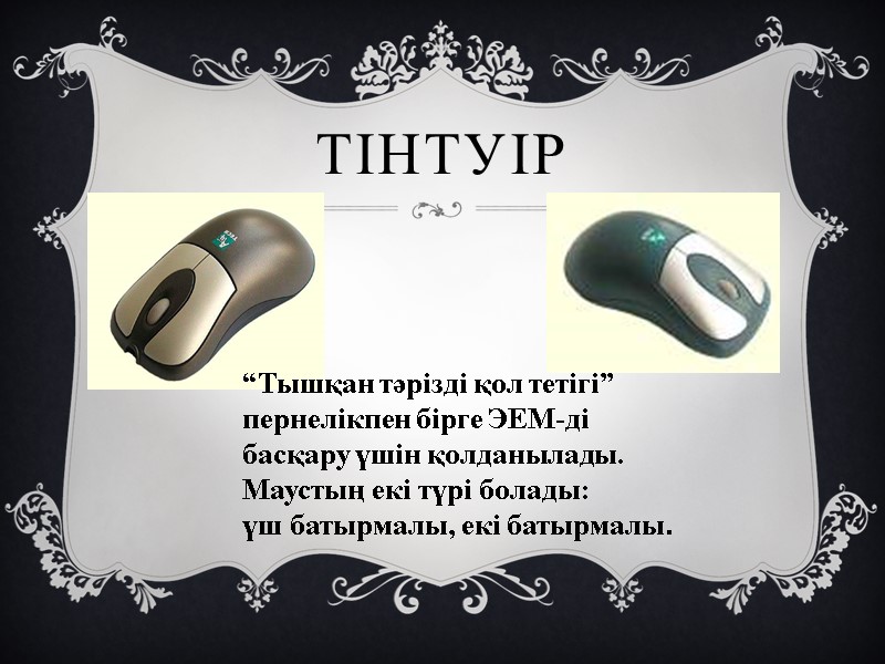 Тінтуір “Тышқан тәрізді қол тетігі” пернелікпен бірге ЭЕМ-ді  басқару үшін қолданылады. Маустың екі